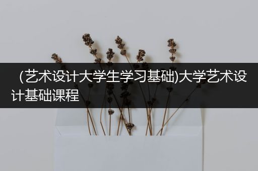 （艺术设计大学生学习基础)大学艺术设计基础课程