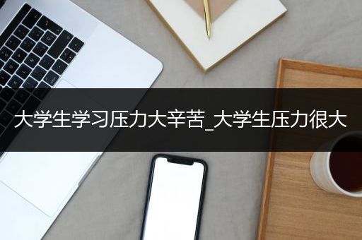 大学生学习压力大辛苦_大学生压力很大