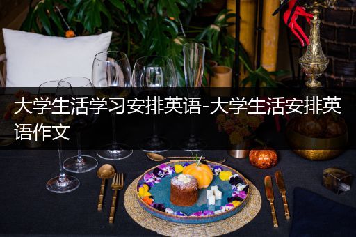 大学生活学习安排英语-大学生活安排英语作文