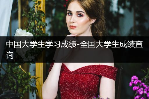 中国大学生学习成绩-全国大学生成绩查询