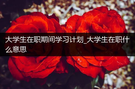 大学生在职期间学习计划_大学生在职什么意思