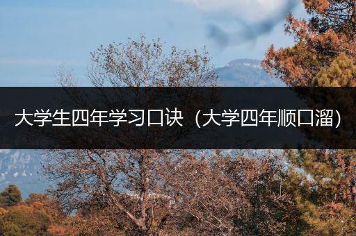 大学生四年学习口诀（大学四年顺口溜）