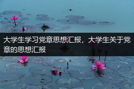 大学生学习党章思想汇报，大学生关于党章的思想汇报