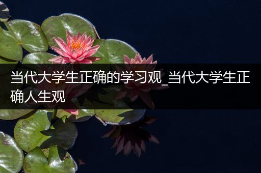 当代大学生正确的学习观_当代大学生正确人生观