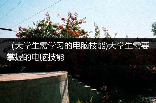 （大学生需学习的电脑技能)大学生需要掌握的电脑技能