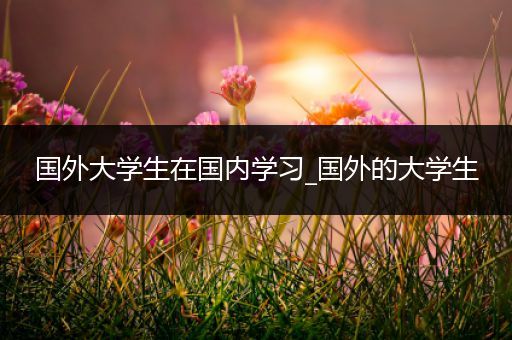 国外大学生在国内学习_国外的大学生