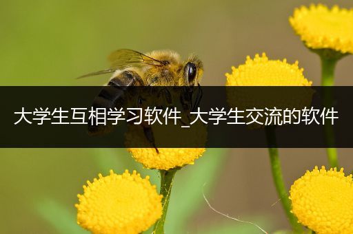 大学生互相学习软件_大学生交流的软件