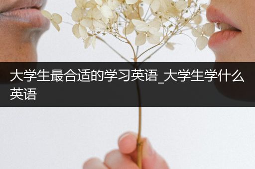 大学生最合适的学习英语_大学生学什么英语