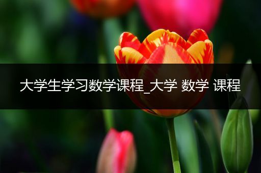 大学生学习数学课程_大学 数学 课程