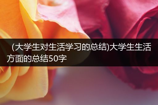（大学生对生活学习的总结)大学生生活方面的总结50字