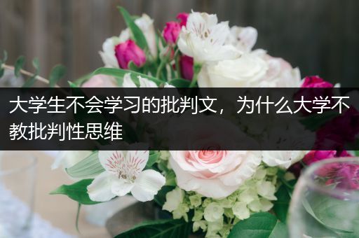 大学生不会学习的批判文，为什么大学不教批判性思维