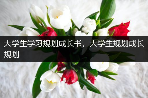 大学生学习规划成长书，大学生规划成长规划