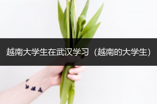 越南大学生在武汉学习（越南的大学生）