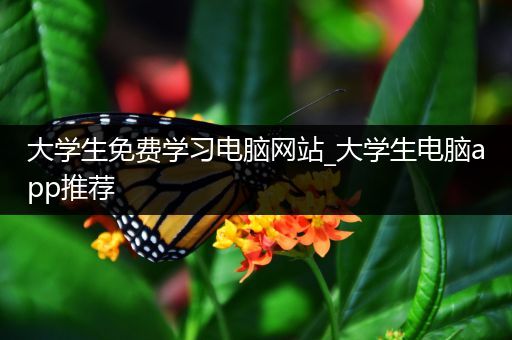 大学生免费学习电脑网站_大学生电脑app推荐