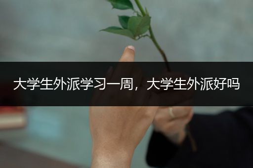 大学生外派学习一周，大学生外派好吗