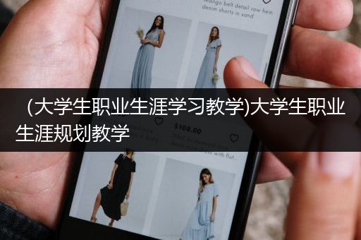 （大学生职业生涯学习教学)大学生职业生涯规划教学
