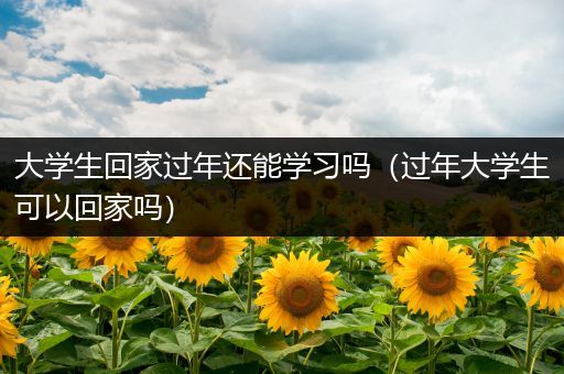 大学生回家过年还能学习吗（过年大学生可以回家吗）