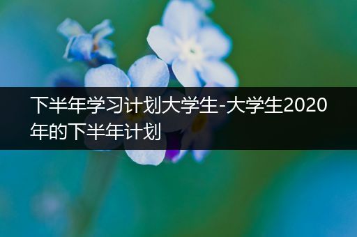 下半年学习计划大学生-大学生2020年的下半年计划