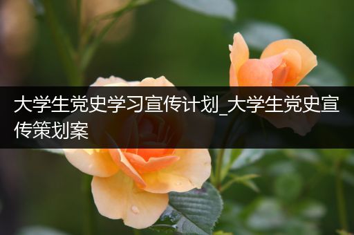 大学生党史学习宣传计划_大学生党史宣传策划案