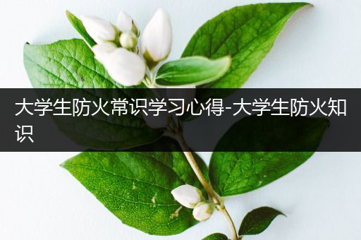 大学生防火常识学习心得-大学生防火知识