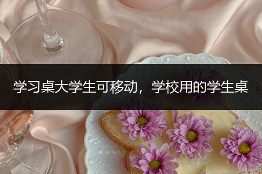 学习桌大学生可移动，学校用的学生桌