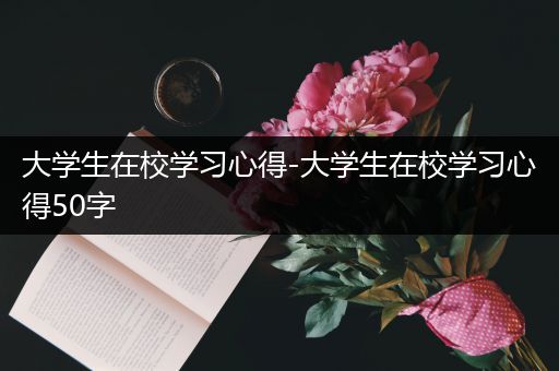 大学生在校学习心得-大学生在校学习心得50字