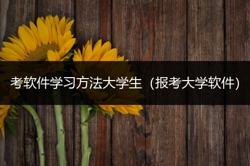 考软件学习方法大学生（报考大学软件）
