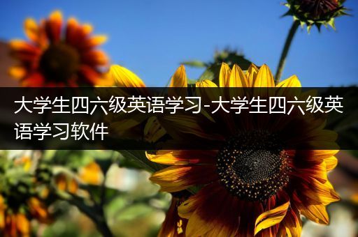 大学生四六级英语学习-大学生四六级英语学习软件