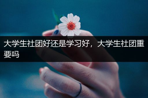 大学生社团好还是学习好，大学生社团重要吗