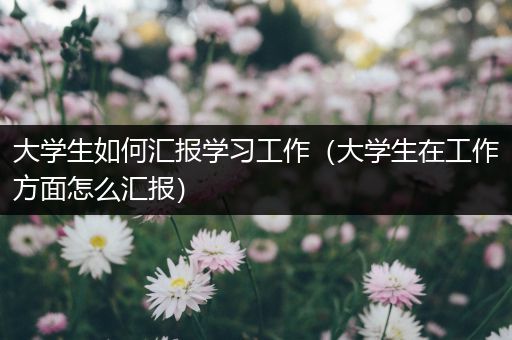 大学生如何汇报学习工作（大学生在工作方面怎么汇报）
