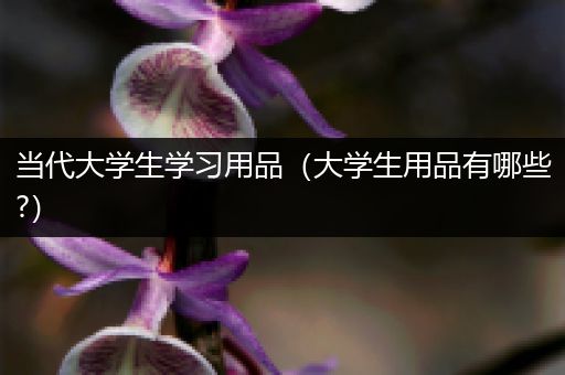 当代大学生学习用品（大学生用品有哪些?）