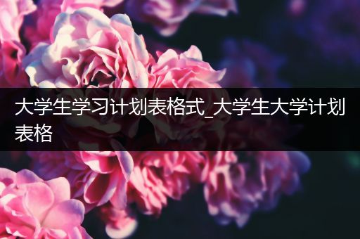 大学生学习计划表格式_大学生大学计划表格