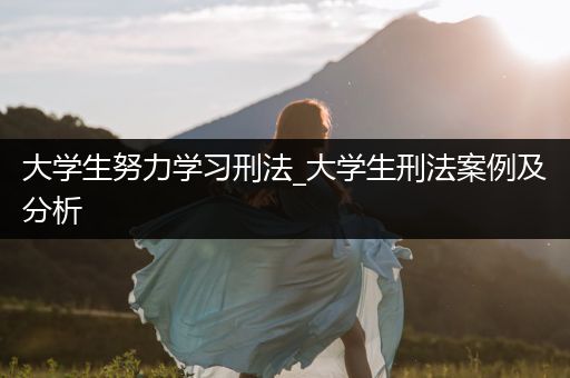 大学生努力学习刑法_大学生刑法案例及分析