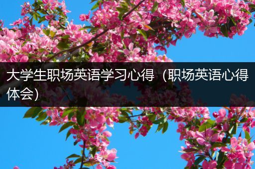 大学生职场英语学习心得（职场英语心得体会）