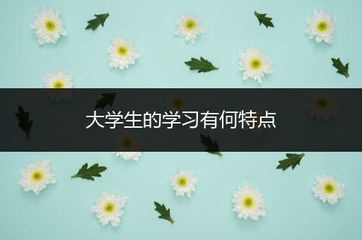 大学生的学习有何特点