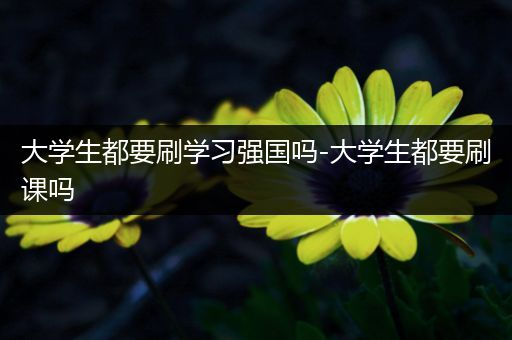 大学生都要刷学习强国吗-大学生都要刷课吗