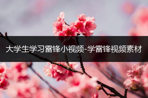 大学生学习雷锋小视频-学雷锋视频素材