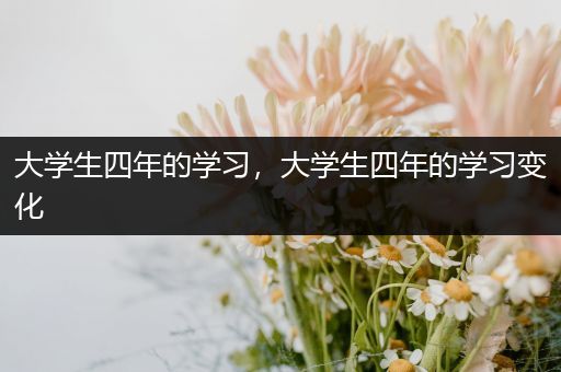 大学生四年的学习，大学生四年的学习变化