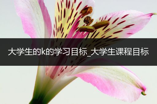 大学生的k的学习目标_大学生课程目标