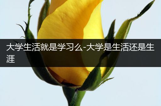 大学生活就是学习么-大学是生活还是生涯