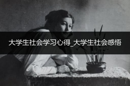 大学生社会学习心得_大学生社会感悟