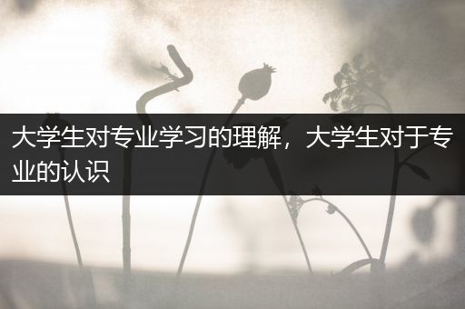 大学生对专业学习的理解，大学生对于专业的认识