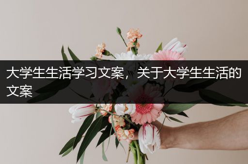 大学生生活学习文案，关于大学生生活的文案