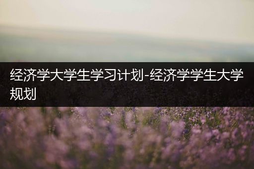 经济学大学生学习计划-经济学学生大学规划