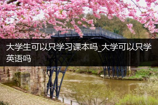 大学生可以只学习课本吗_大学可以只学英语吗