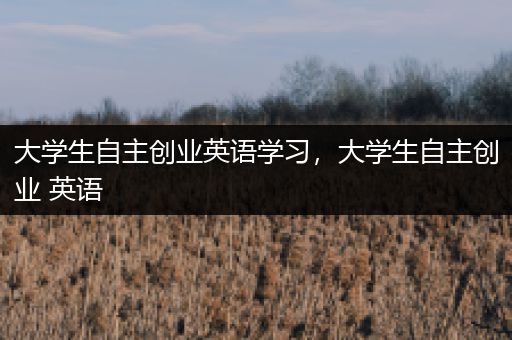 大学生自主创业英语学习，大学生自主创业 英语