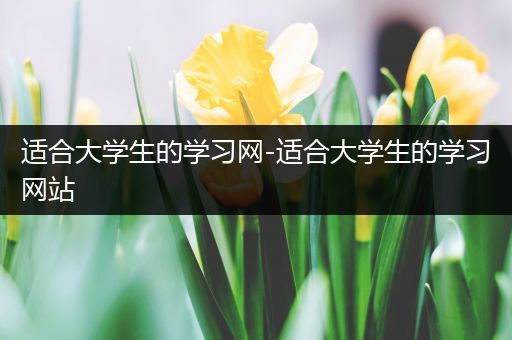 适合大学生的学习网-适合大学生的学习网站