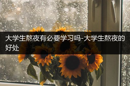 大学生熬夜有必要学习吗-大学生熬夜的好处