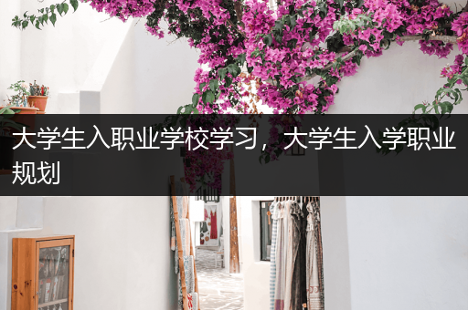 大学生入职业学校学习，大学生入学职业规划