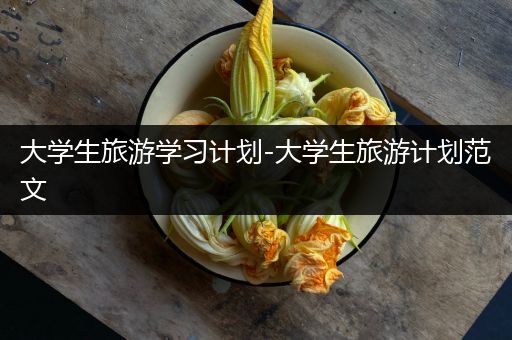 大学生旅游学习计划-大学生旅游计划范文